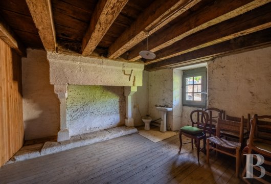 character properties France limousin   - 17