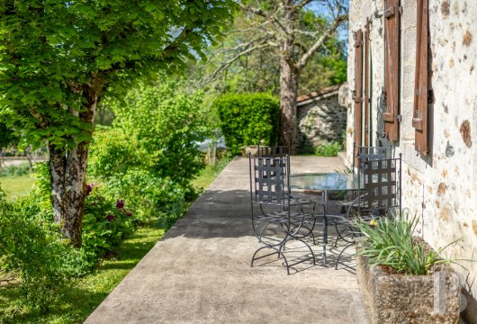 character properties France limousin   - 18