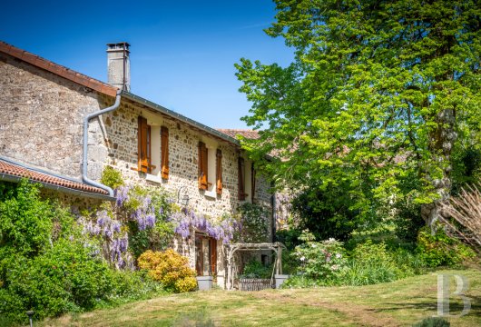 character properties France limousin   - 3