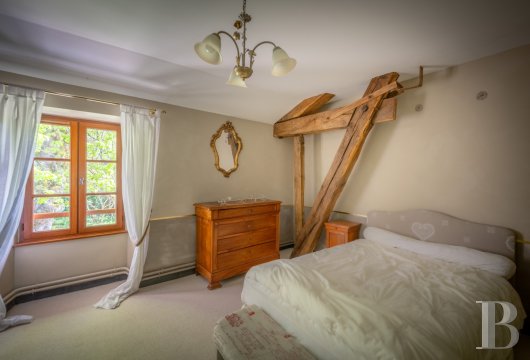 character properties France limousin   - 11