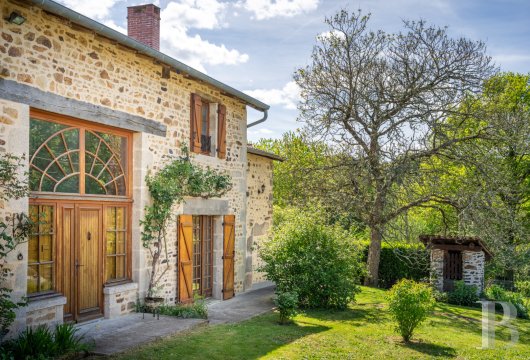 character properties France limousin   - 5
