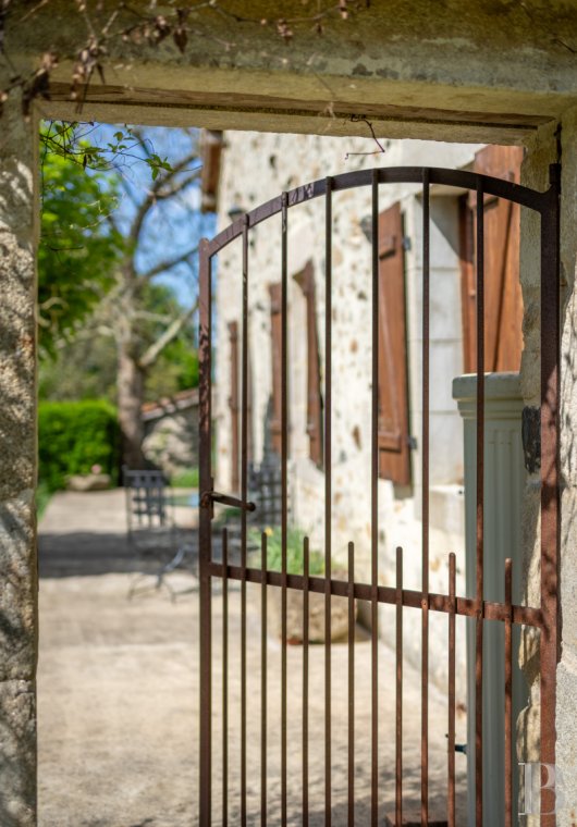 character properties France limousin   - 4