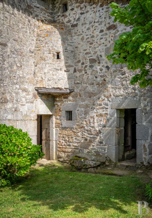 character properties France limousin   - 12