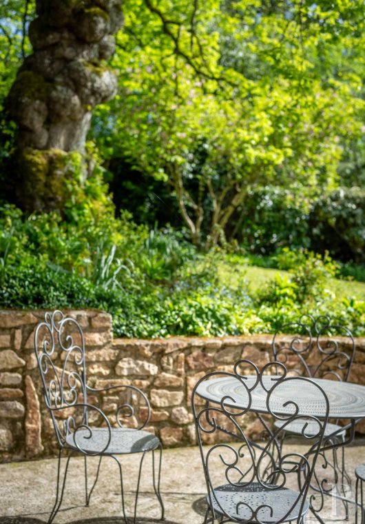 character properties France limousin   - 19