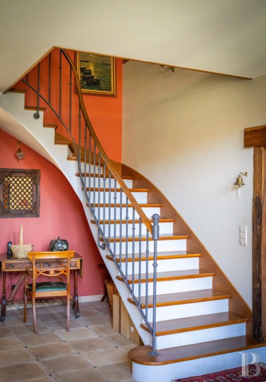 character properties France limousin   - 10