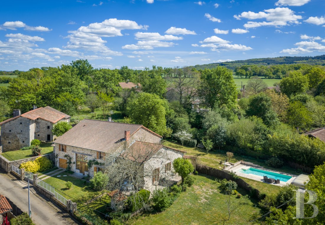 character properties France limousin   - 1