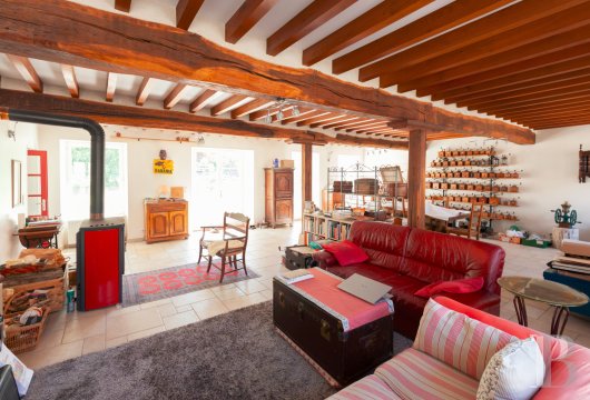 character properties France burgundy   - 4