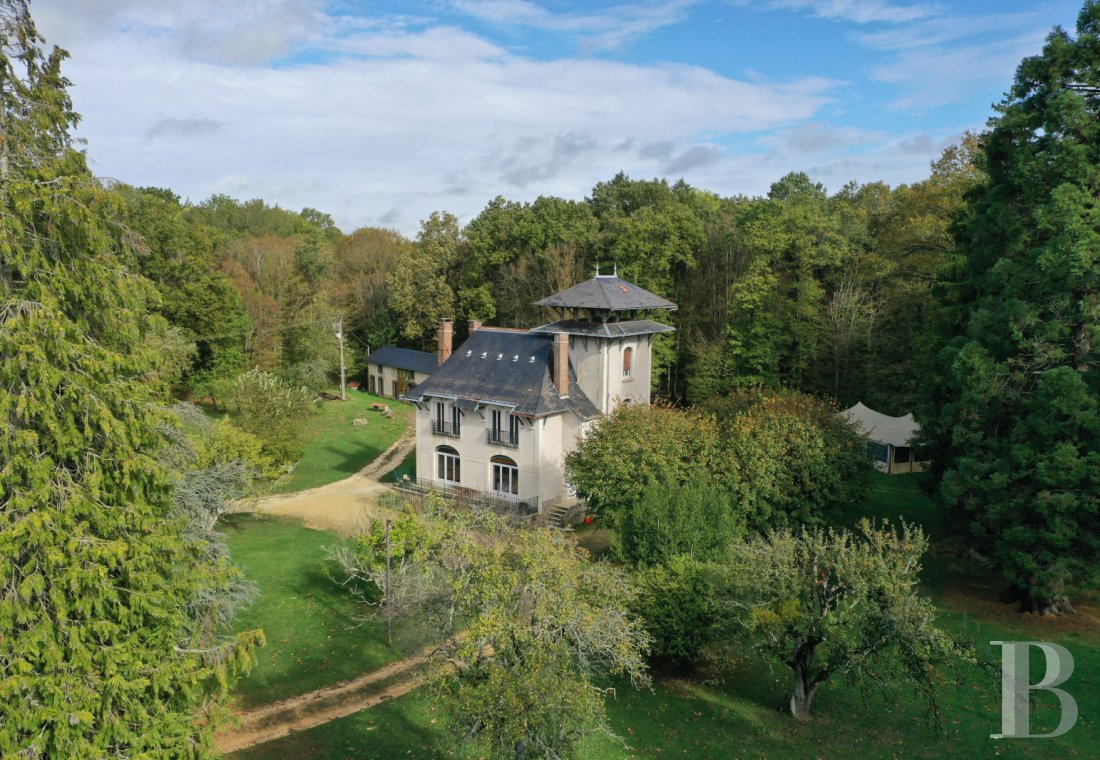 France mansions for sale burgundy   - 1