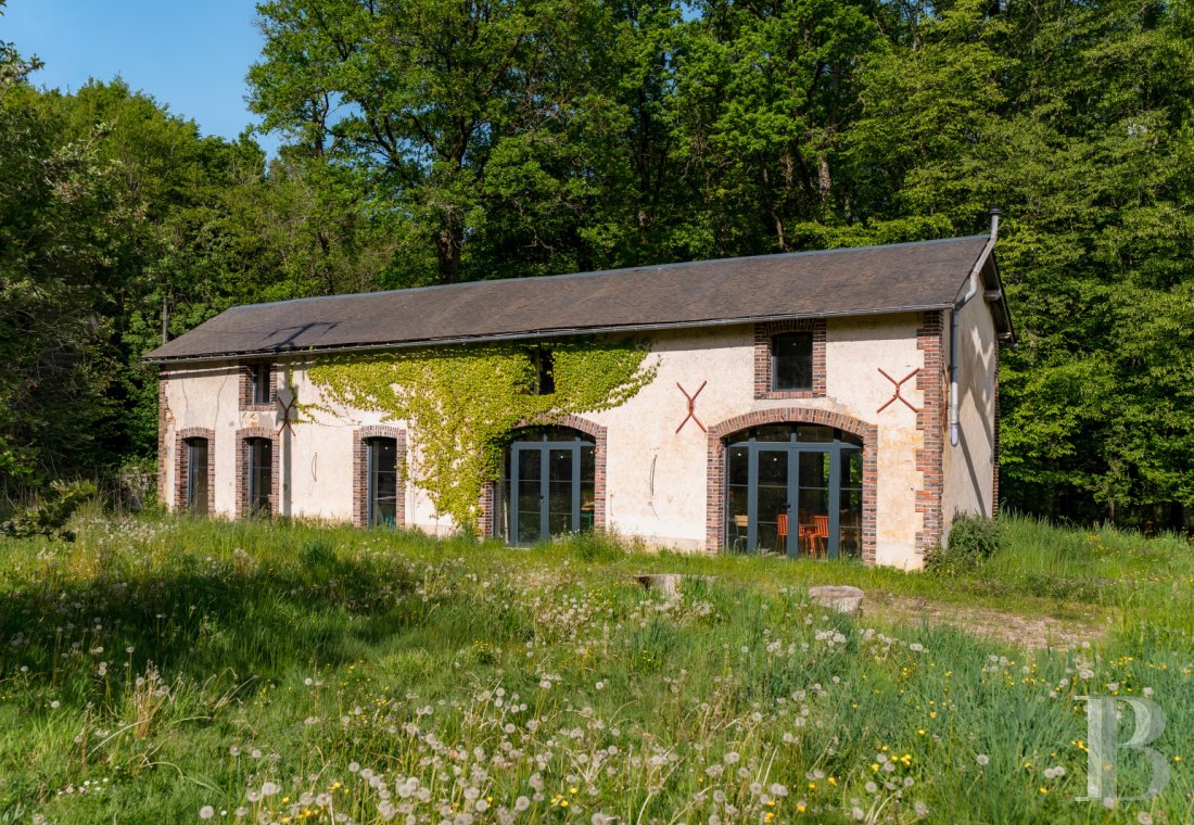 France mansions for sale burgundy   - 18