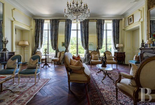 chateaux for sale France center val de loire   - 5