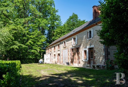 chateaux for sale France center val de loire   - 15