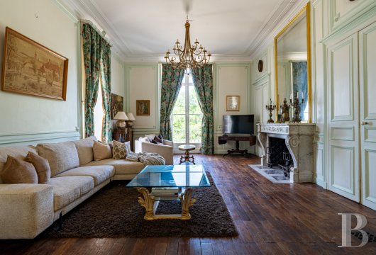 chateaux for sale France center val de loire   - 8
