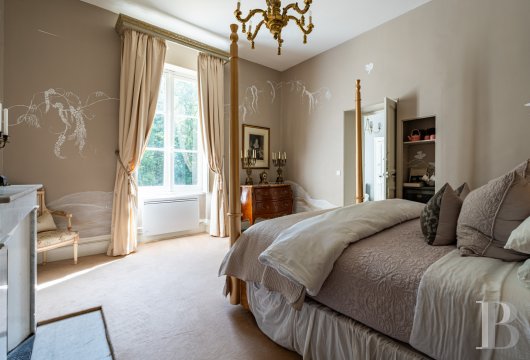 chateaux for sale France center val de loire   - 10
