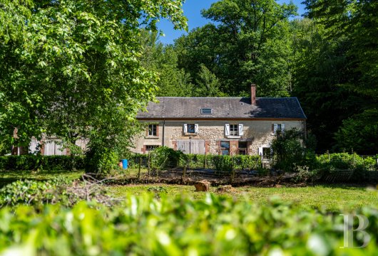 chateaux for sale France center val de loire   - 12