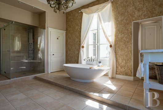 chateaux for sale France center val de loire   - 13