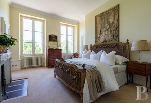 chateaux for sale France center val de loire   - 11