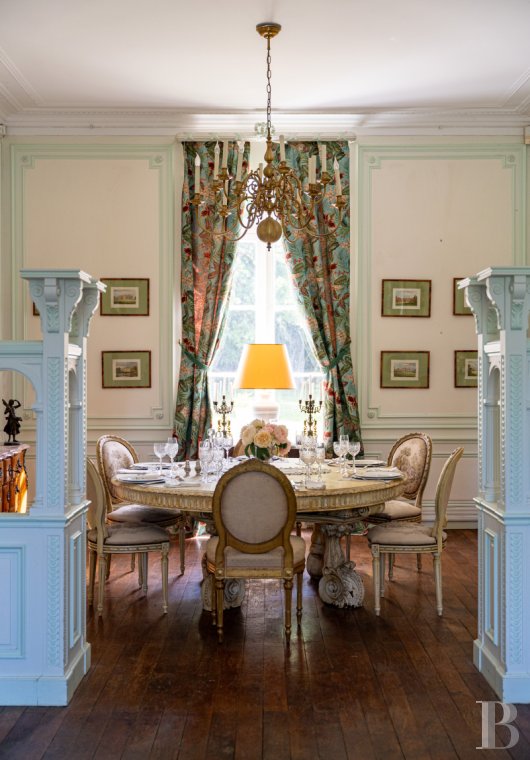 chateaux for sale France center val de loire   - 6