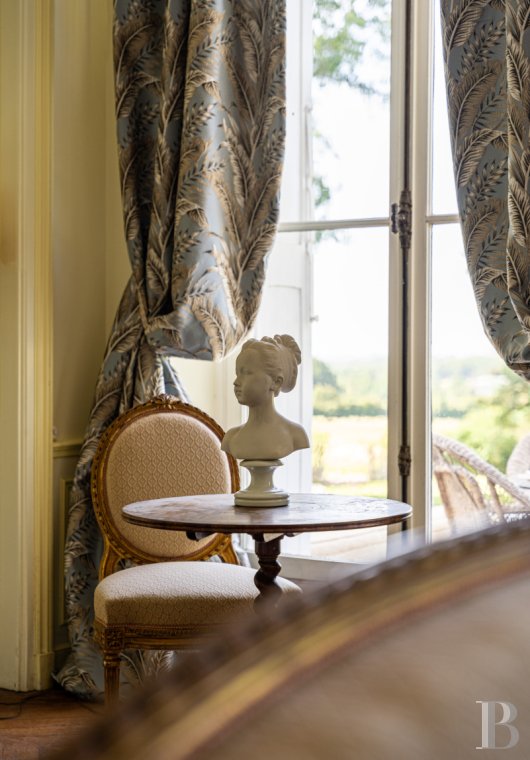 chateaux for sale France center val de loire   - 8