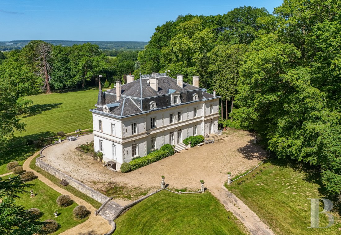 chateaux for sale France center val de loire   - 2
