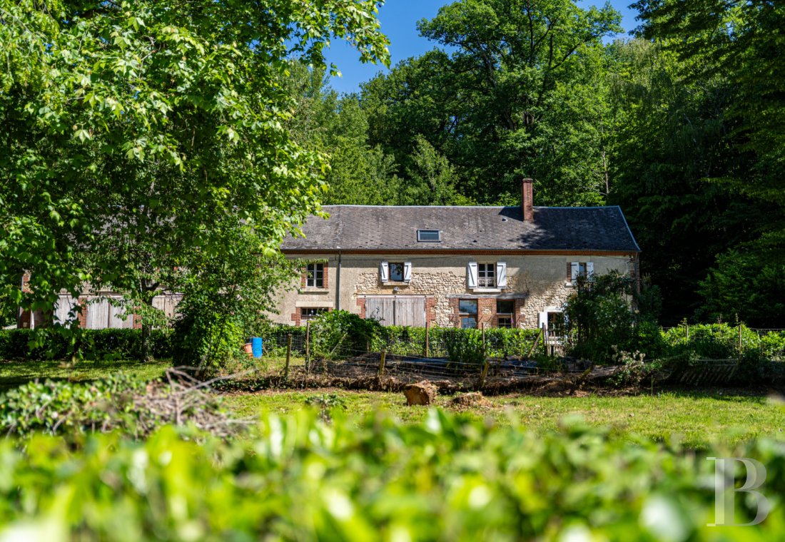 chateaux for sale France center val de loire   - 14