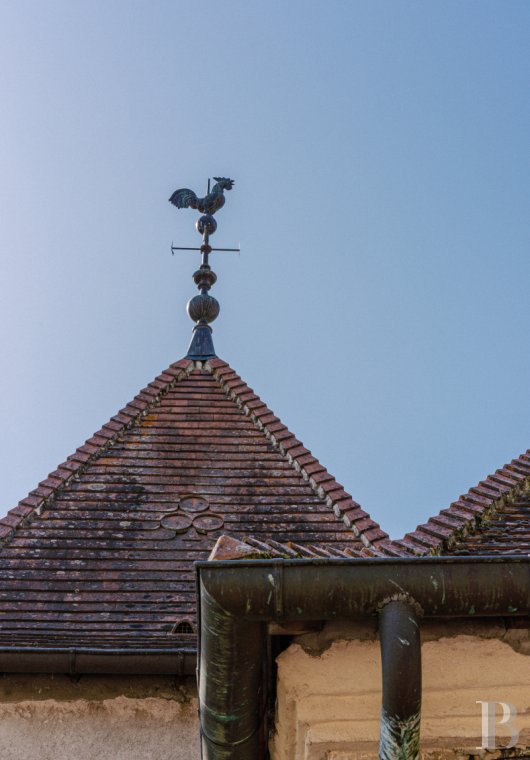 maisons de caractere a vendre bourgogne   - 7