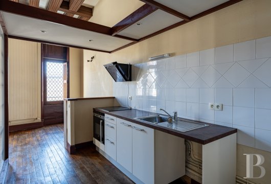 mansion houses for sale France center val de loire   - 14