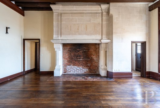 mansion houses for sale France center val de loire   - 12