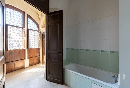 mansion houses for sale France center val de loire   - 19