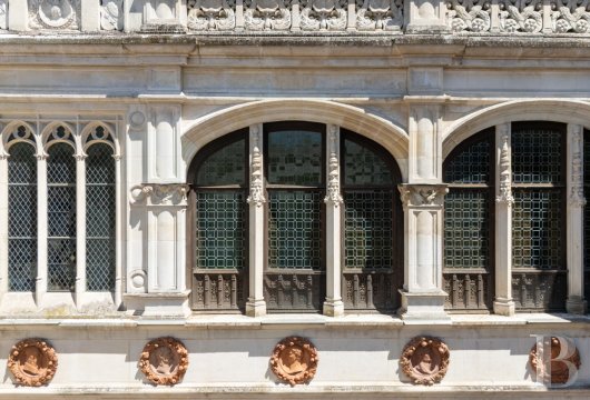 mansion houses for sale France center val de loire   - 4