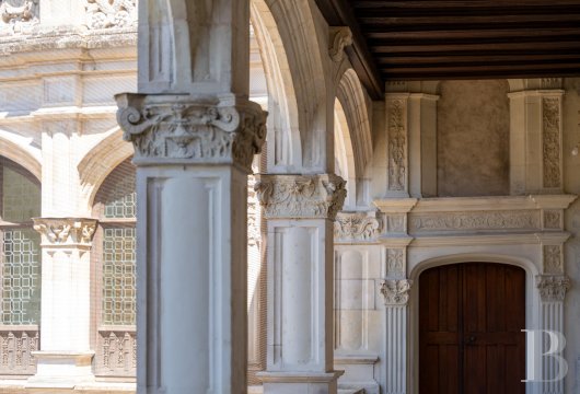 mansion houses for sale France center val de loire   - 22