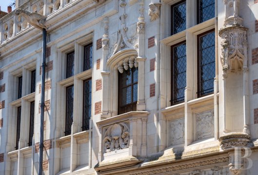 mansion houses for sale France center val de loire   - 3