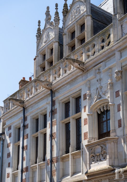 mansion houses for sale France center val de loire   - 2