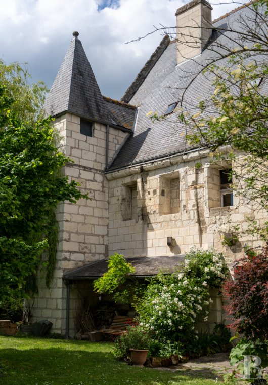 castles for sale France center val de loire   - 1