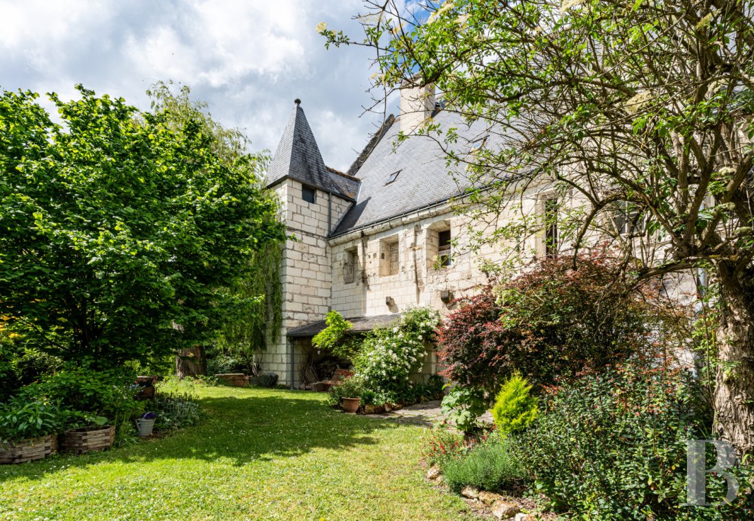 castles for sale France center val de loire   - 1