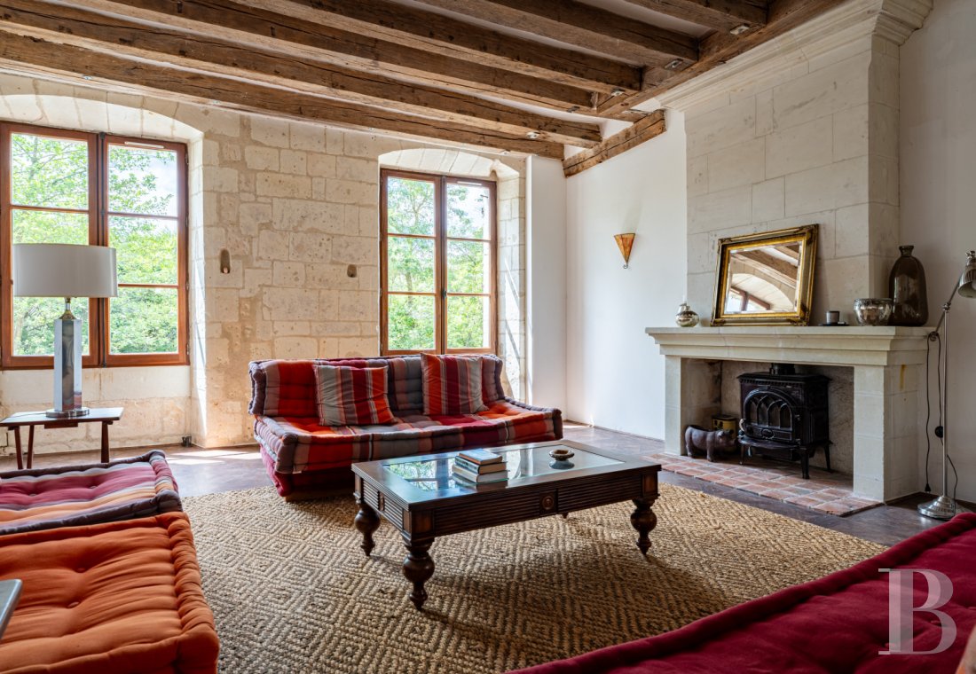 castles for sale France center val de loire   - 6