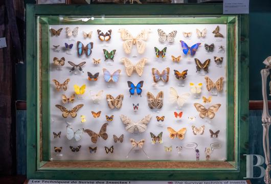 limousin - Dans le parc naturel régional de Millevaches,  un musée en activité, ses collections et sa résidence privée meublée