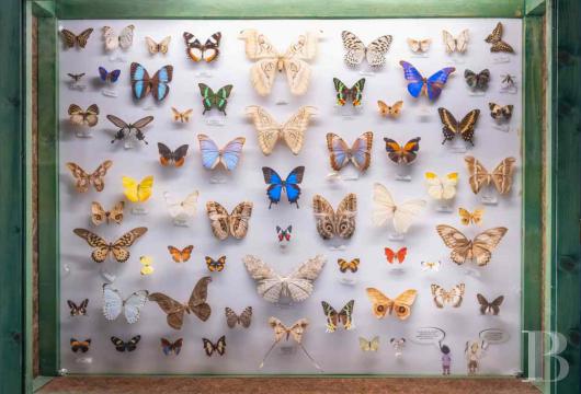 limousin - Dans le parc naturel régional de Millevaches,  un musée en activité, ses collections et sa résidence privée meublée