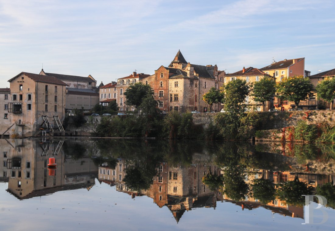 immobilier prestige midi pyrenees   - 23