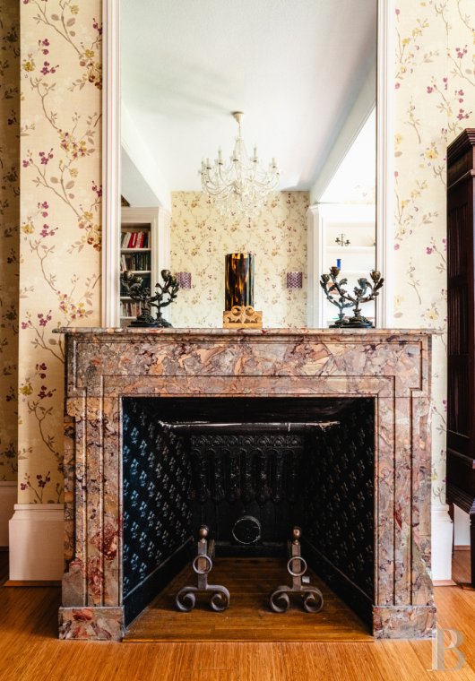 chateaux for sale France burgundy   - 12