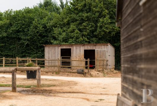 french equestrian properties for sale center val de loire   - 14