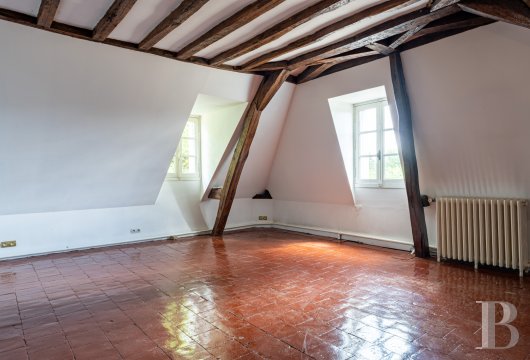 residences and character houses france center val de loire   - 14