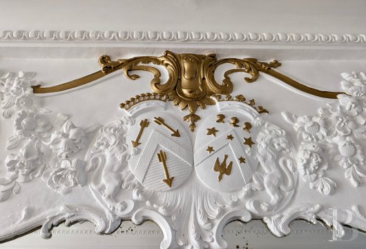 maisons de caractere a vendre champagne ardennes   - 10