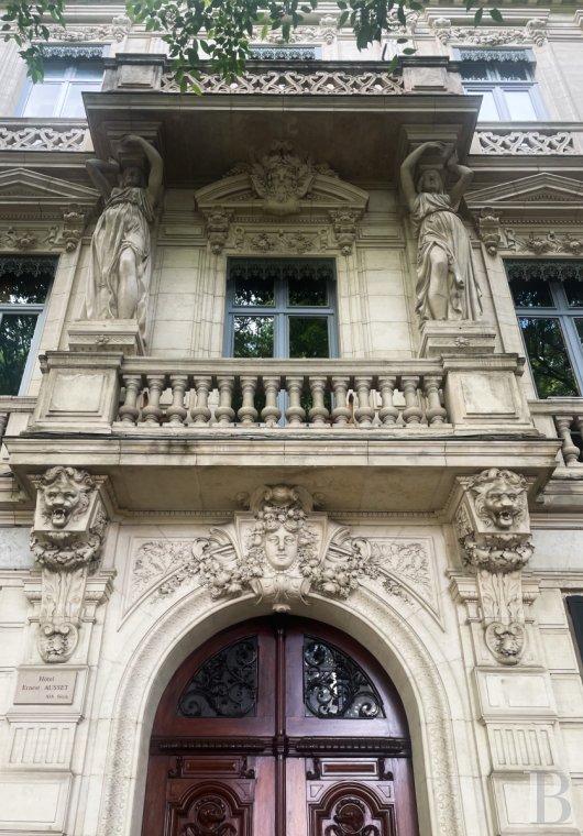 mansion houses for sale France languedoc roussillon   - 4