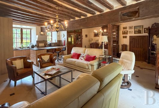 France mansions for sale center val de loire   - 5