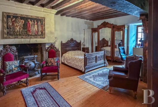 France mansions for sale center val de loire   - 7