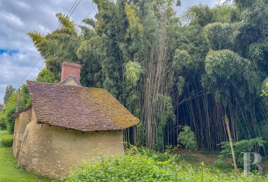France mansions for sale center val de loire   - 15