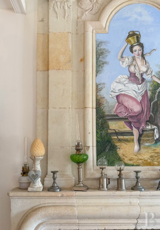 France mansions for sale center val de loire   - 8