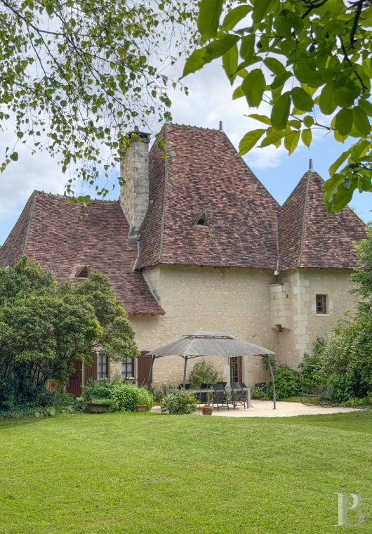 France mansions for sale center val de loire   - 2