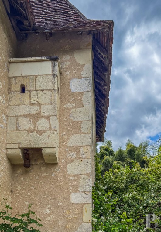 France mansions for sale center val de loire   - 3