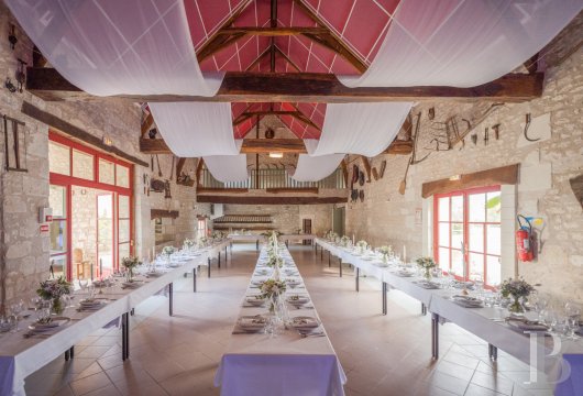 chateaux a vendre centre val de loire   - 21